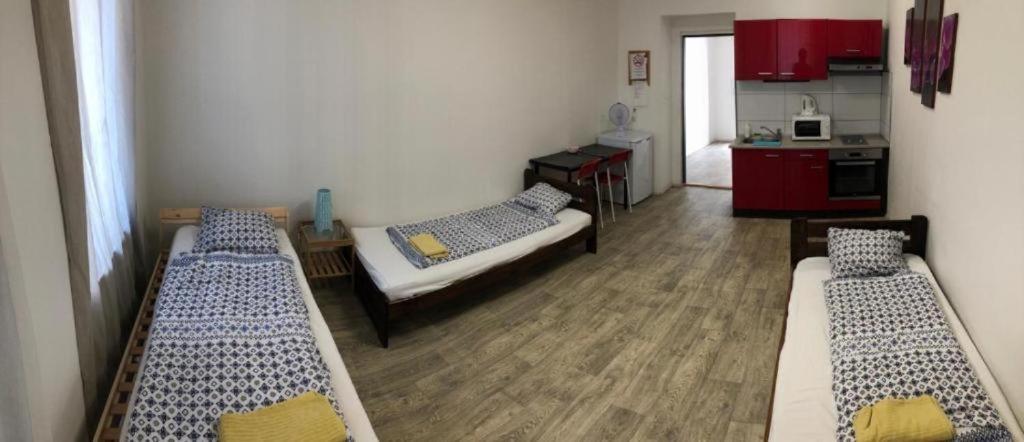 Apartments Near The Center With Privat Parking 브르노 외부 사진