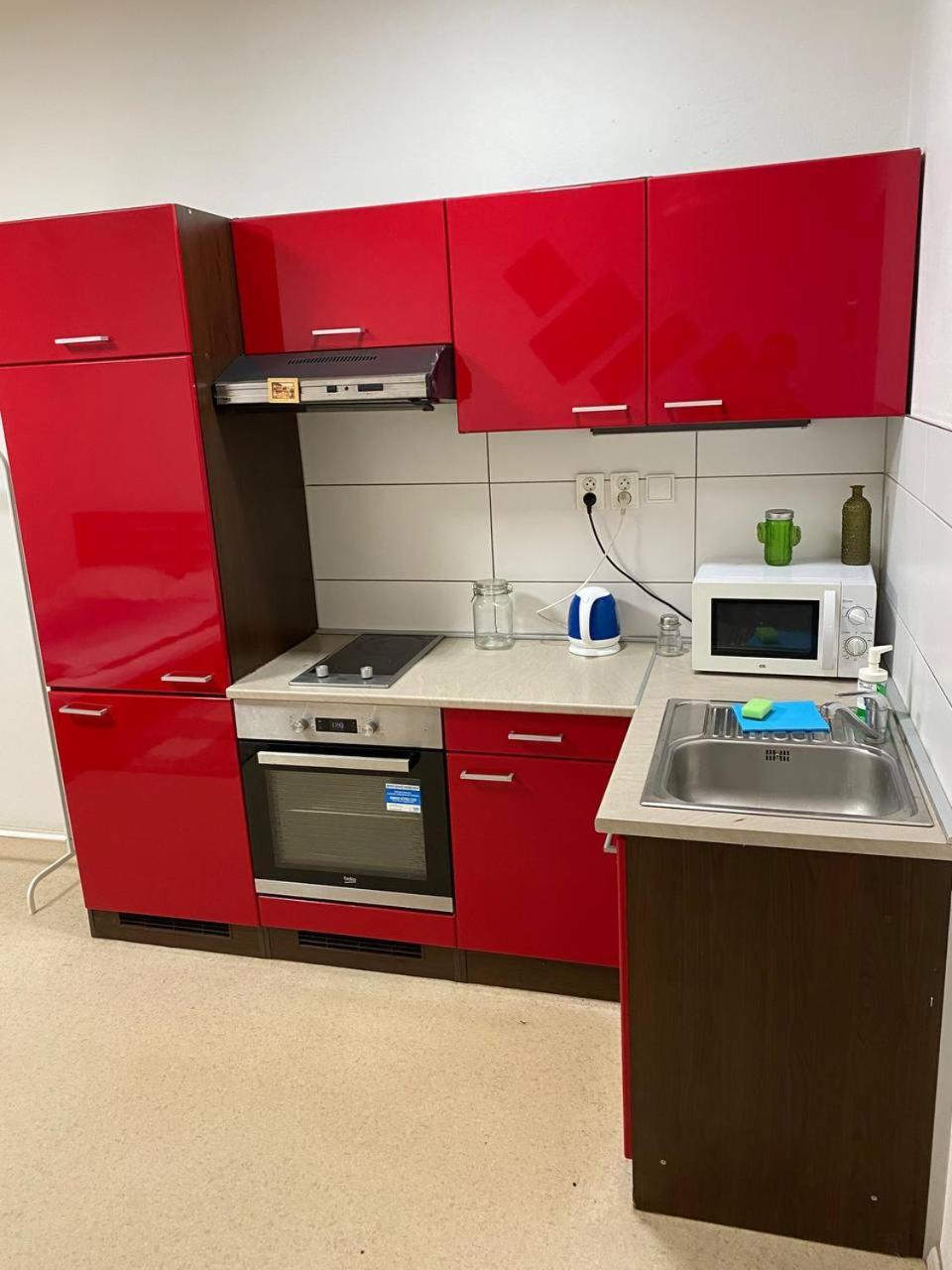 Apartments Near The Center With Privat Parking 브르노 외부 사진