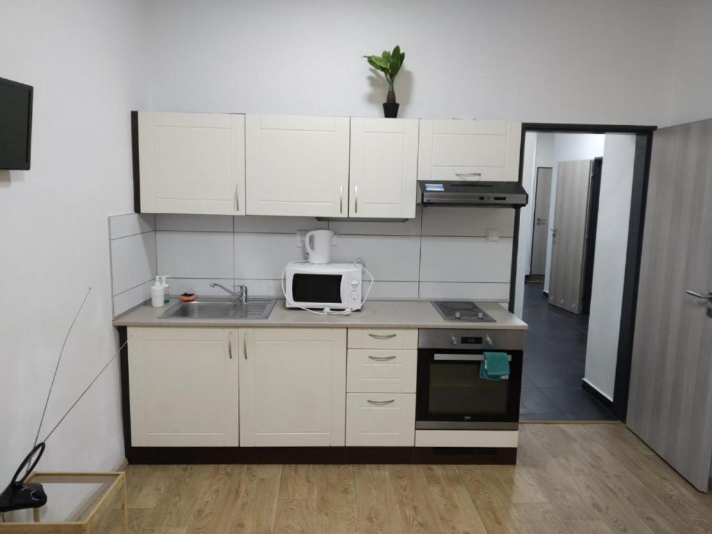 Apartments Near The Center With Privat Parking 브르노 외부 사진