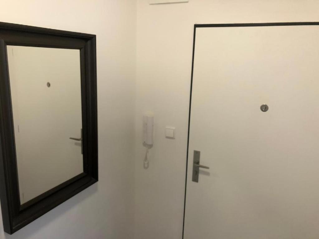 Apartments Near The Center With Privat Parking 브르노 외부 사진
