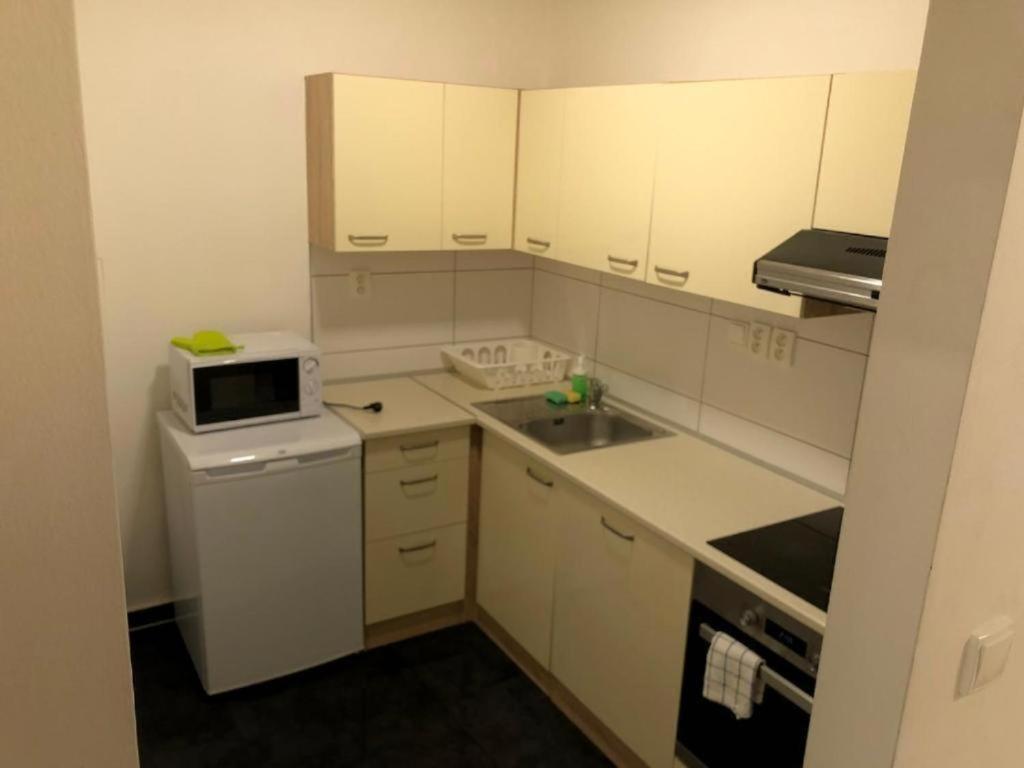 Apartments Near The Center With Privat Parking 브르노 외부 사진